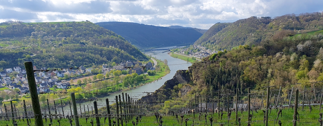 2023-04-23_Koberner_Burgpfad.jpg